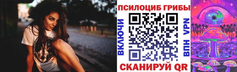 Псилоцибиновые грибы прущие грибы  Купить закладки  Красновишерск 